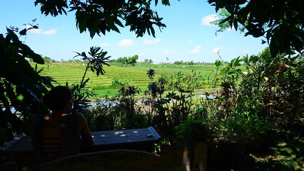 Ausblick auf die Reisfeler in Canggu Bali