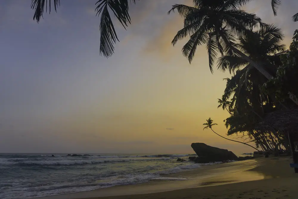Sri Lanka 2016 - Sonnenuntergang Dalawella Beach