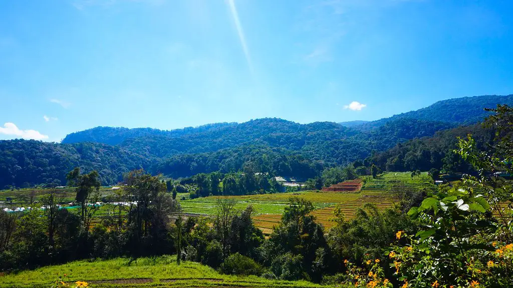 Reisfelder im Doi Inthanon Nationalpark Chiang Mai
