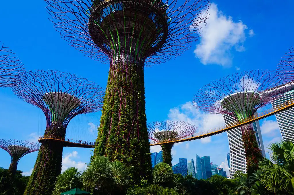 Singapur Sightseeing: Supertrees im Gardens by the Bay