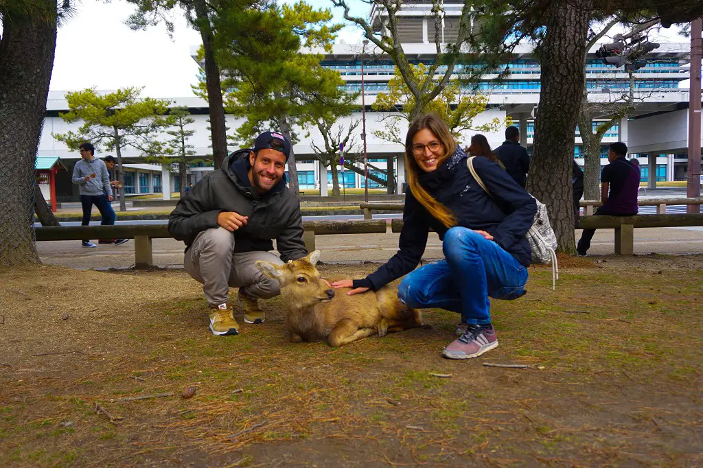 Wir mit meinem Reh im Deer Park Nara