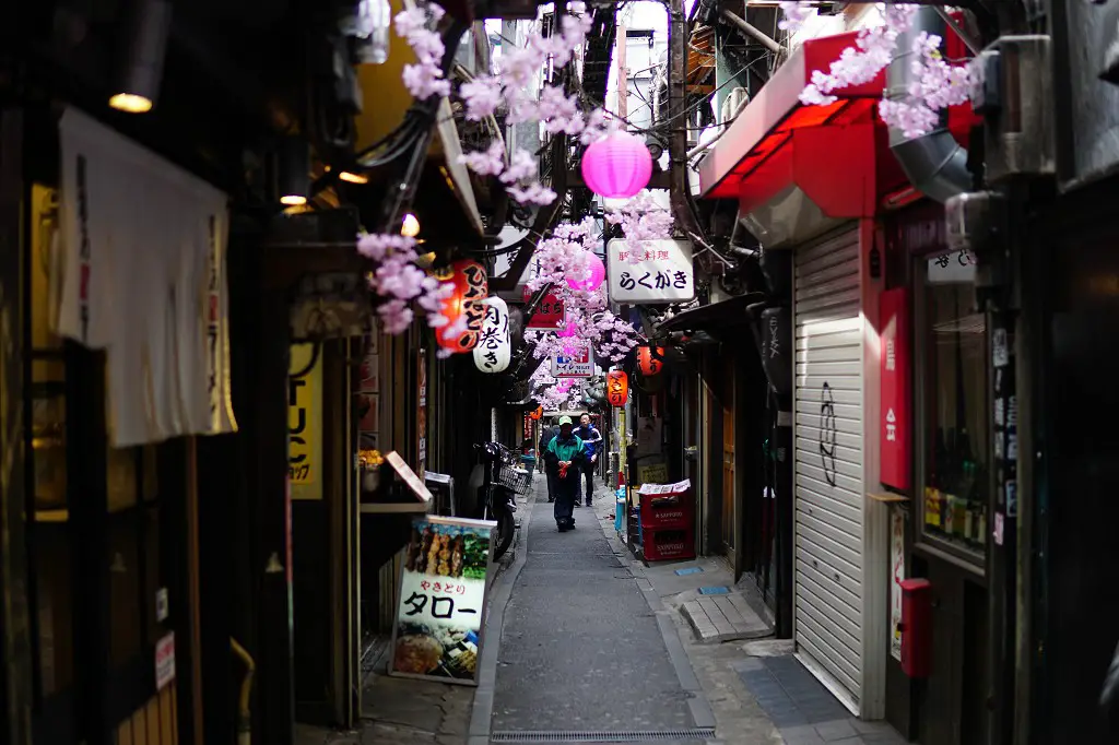 Tokio Reisebericht: Piss Alley
