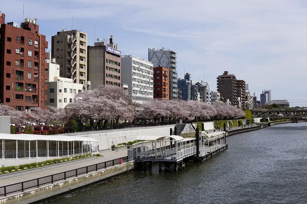 Sumida River in Tokio