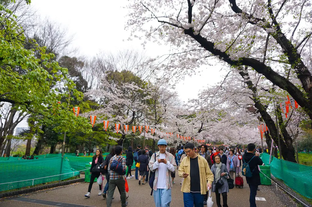 Menschen im Ueno Park