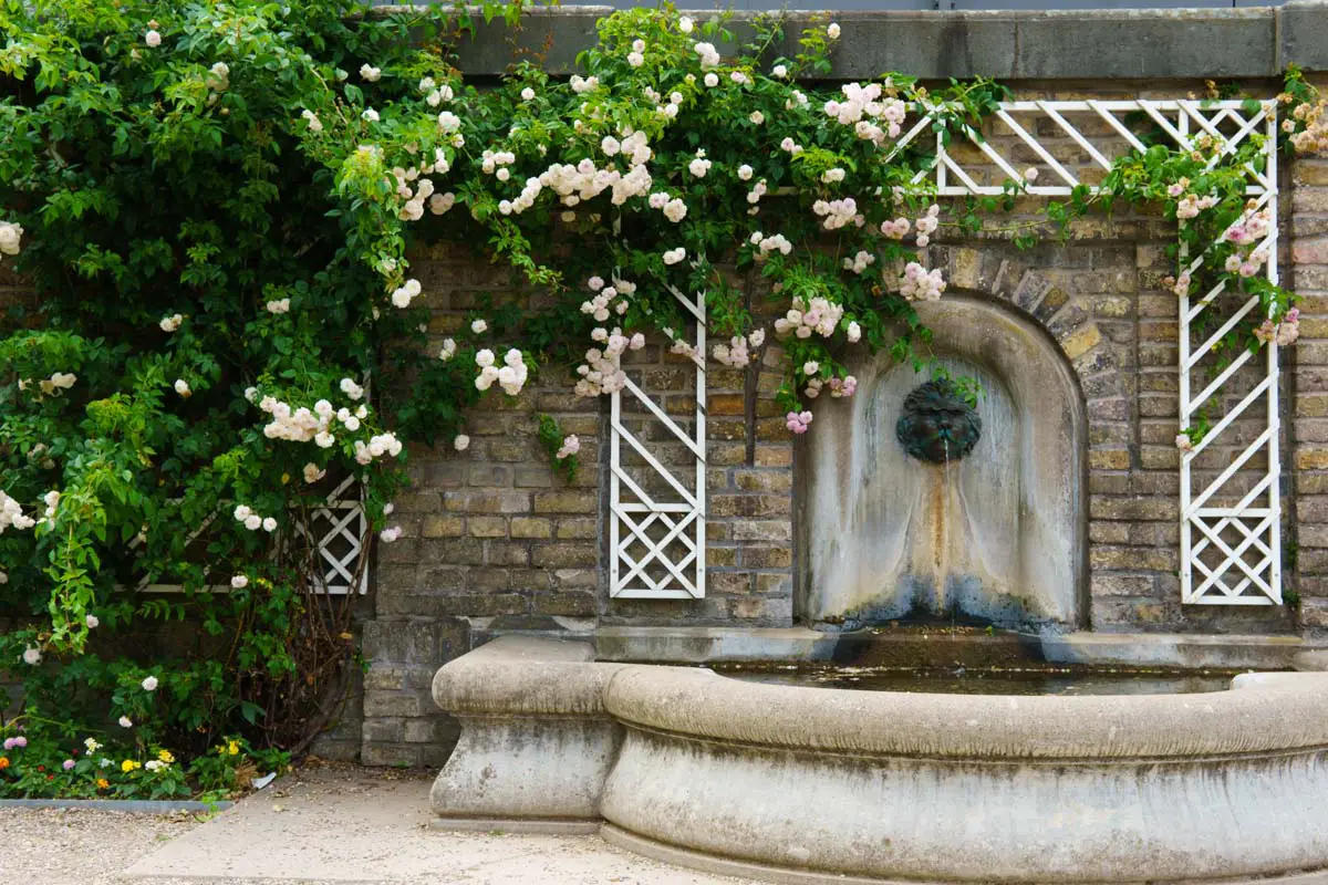 Romantischer Brunnen im botanischen Garten Flora Köln