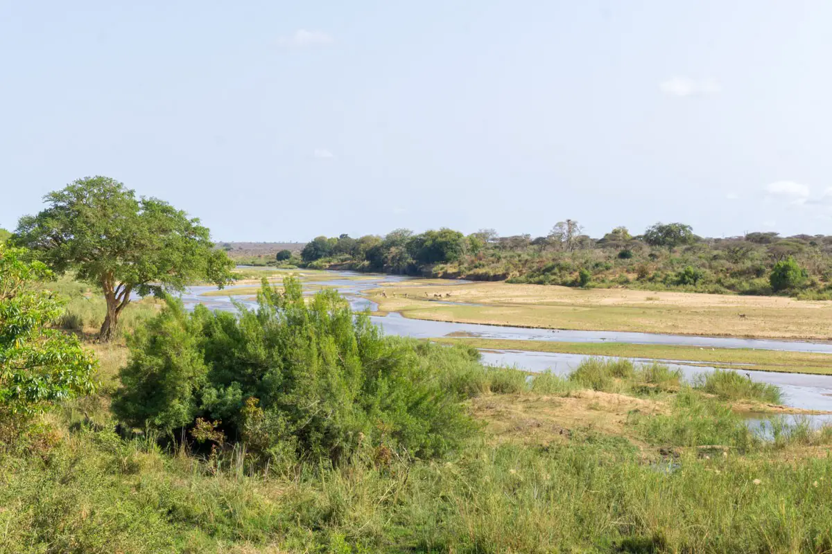 Grüne Landschaft mit Fluss im Krüger Nationalpark Südafrika