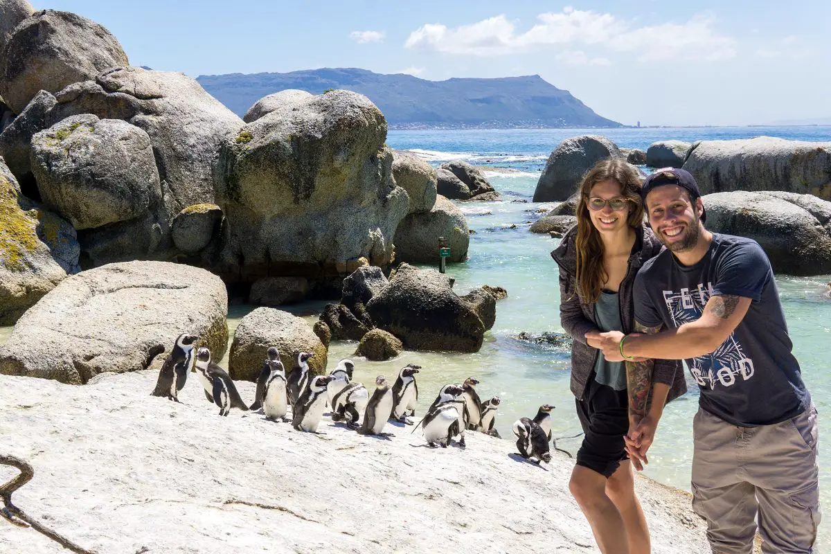 Marco und Sara am Boulders Beach mit ganz vielen Pinguinen