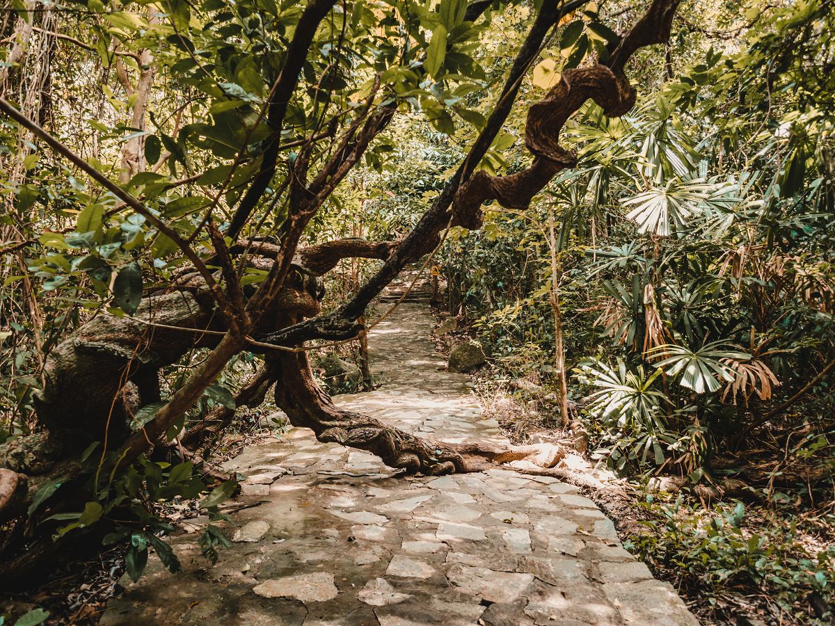 Ein Wanderweg im Con Dao Nationalpark