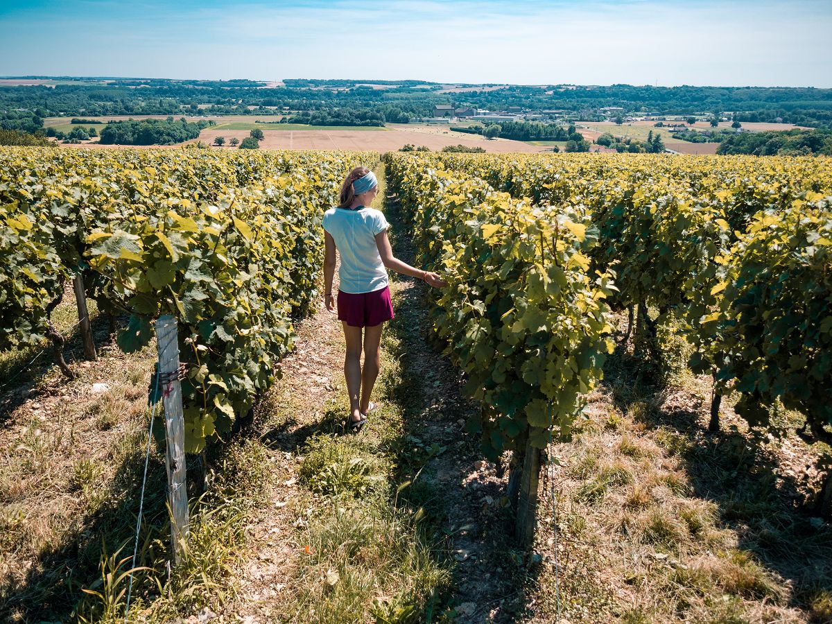 Sara mitten in den Weinfeldern der Vallée du Loir Region