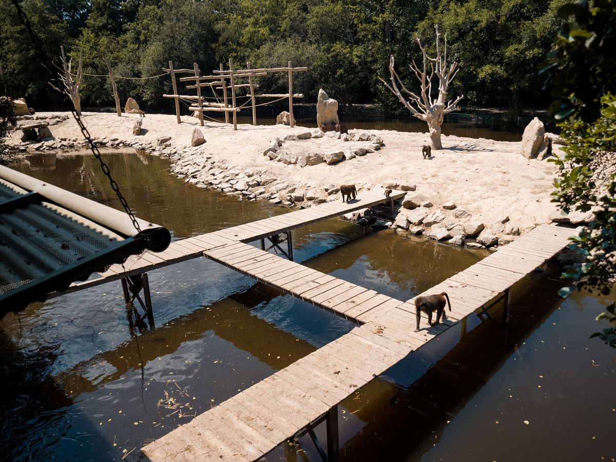 großes Affengehäge im Tierasylheim