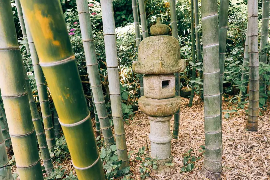 Bambuswald im Hase-dera Tempel