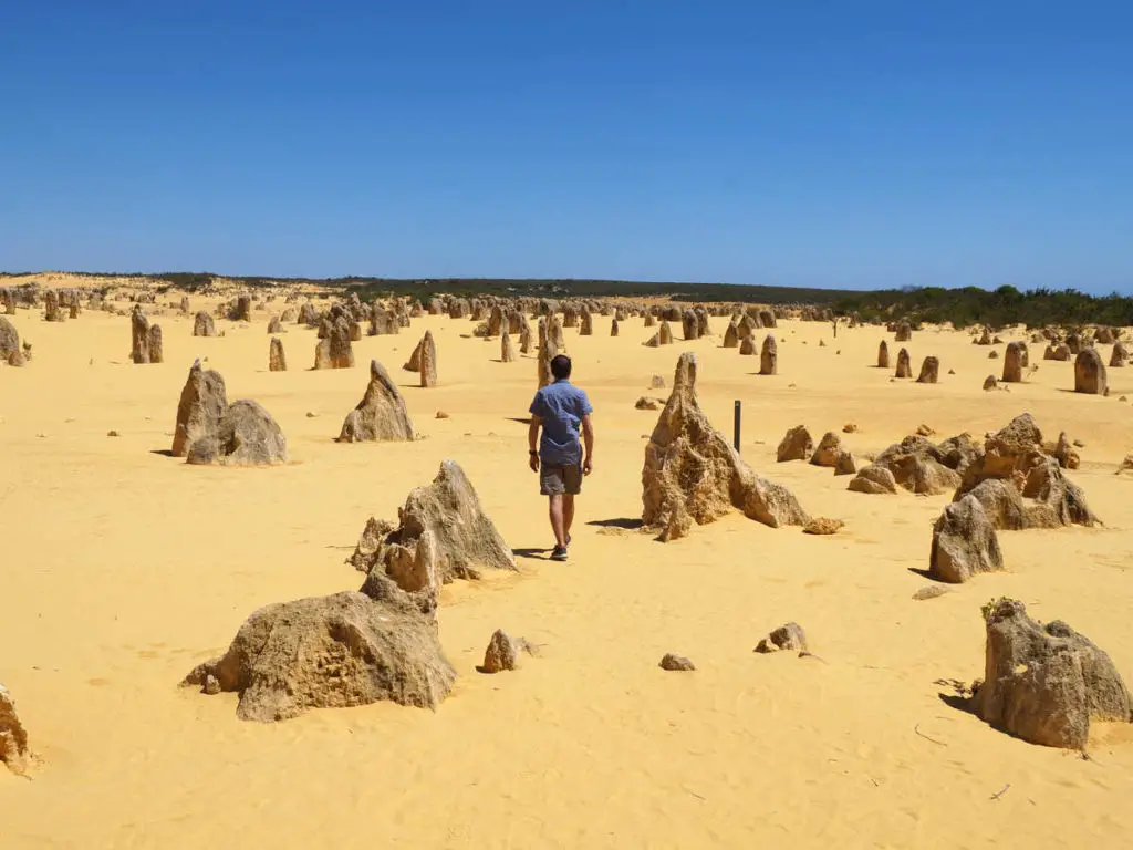 Pinnacles Desert in Westaustralien