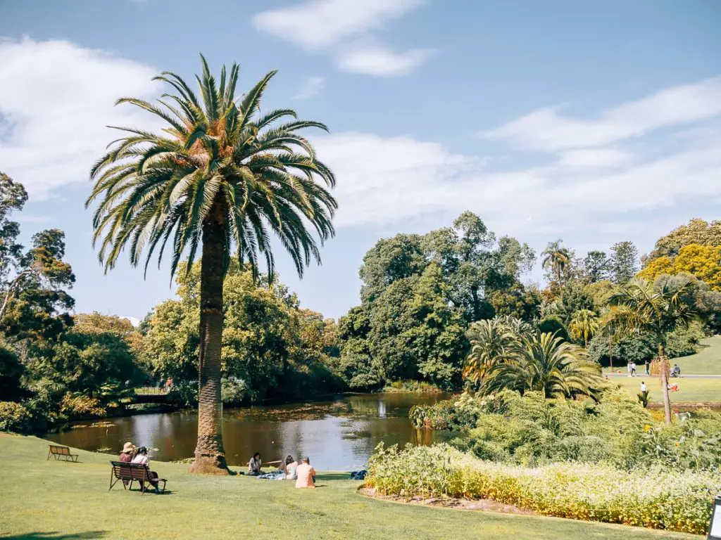 Ein See in der Melbourne Sehenswürdigkeit Botanischer Garten