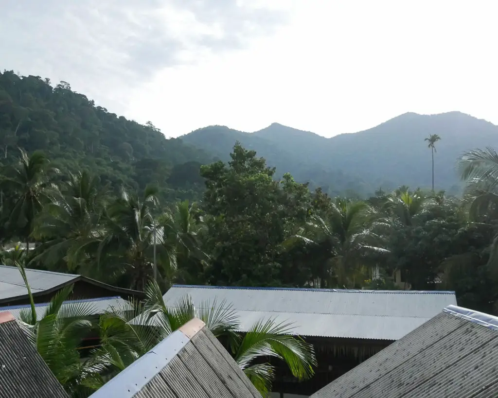 Regenwald auf der Insel Pulau Tioman in Malaysia