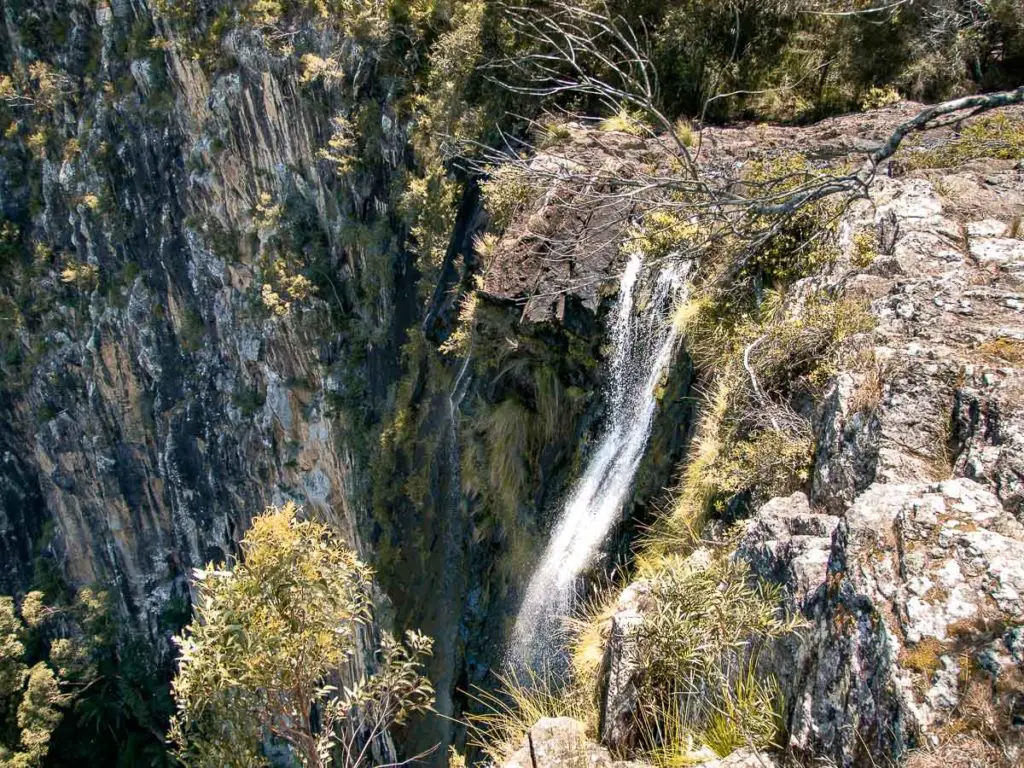 Minyon Waterfall auf unserer Australien Ostküsten Rundreise 
