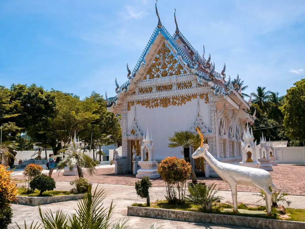 Koh Phangan Sehenswürdigkeit: der weiße Tempel Wat Caloklum