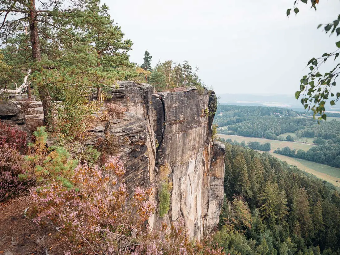 Blick auf die Felsenwand vom Pfaffenstein