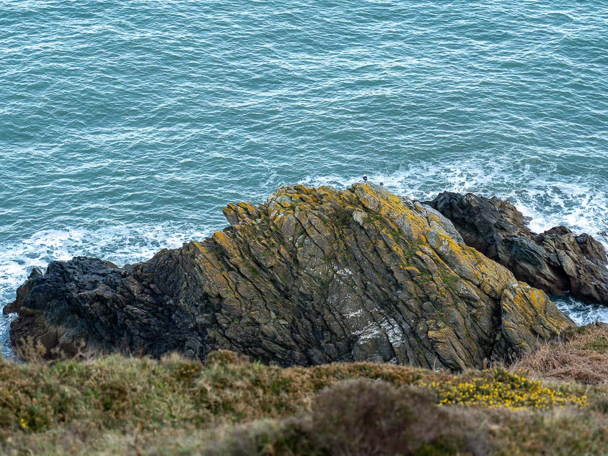 Fels und Meer Detailbild am Howth Cliff Walk